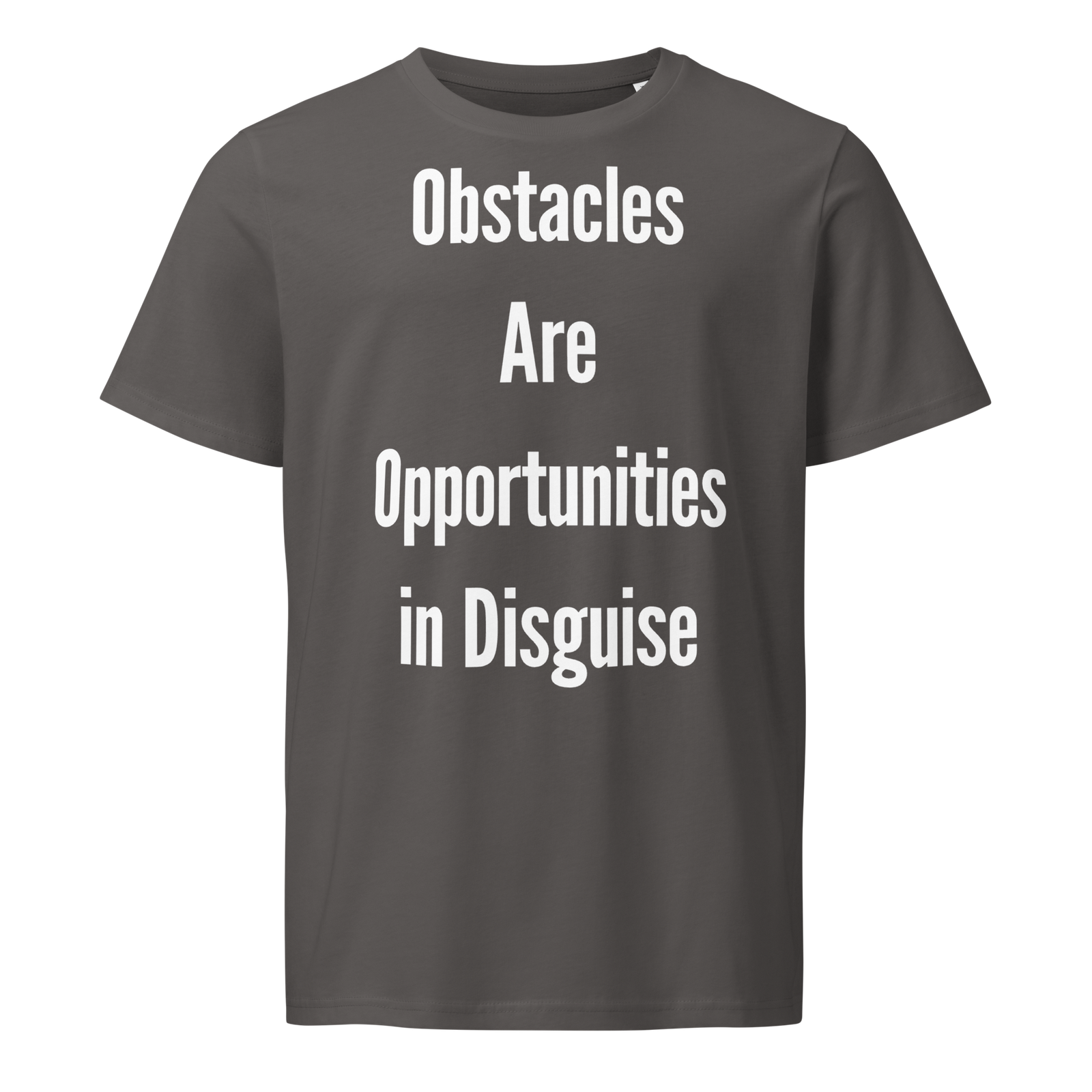 Obstacles Are Opportunities In Disguise — Anthracite