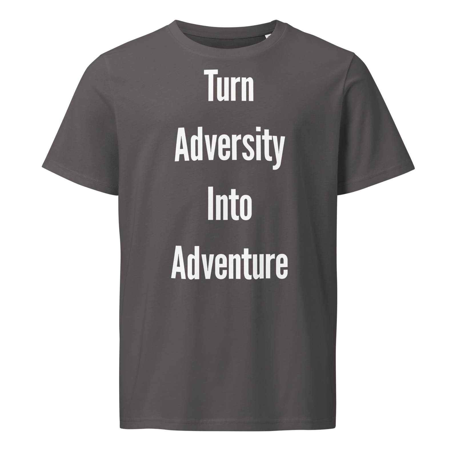 Turn Adversity Into Adventure — Anthracite