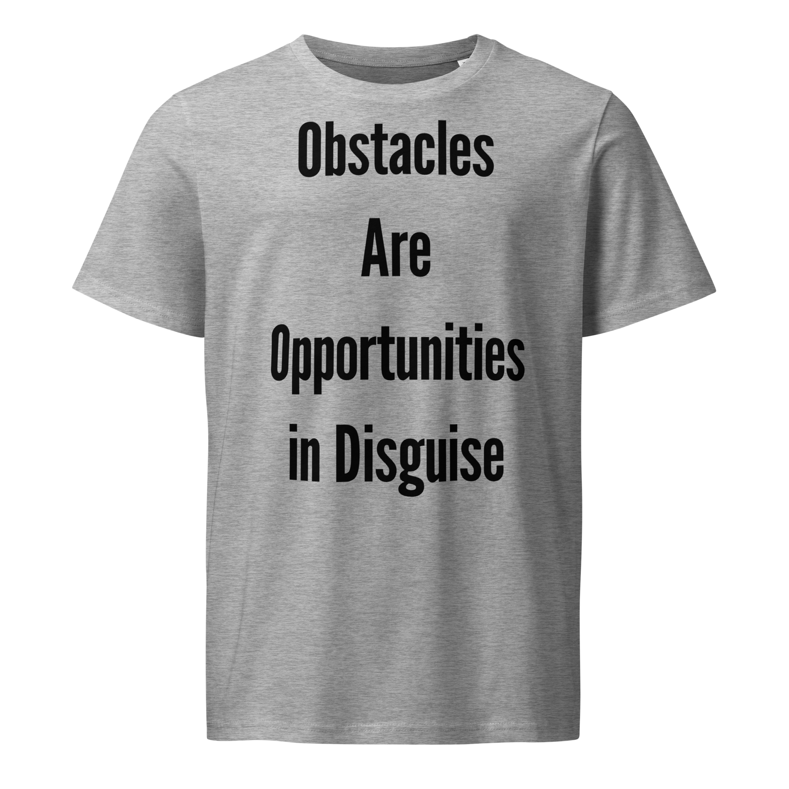 Obstacles Are Opportunities In Disguise — Heather Grey
