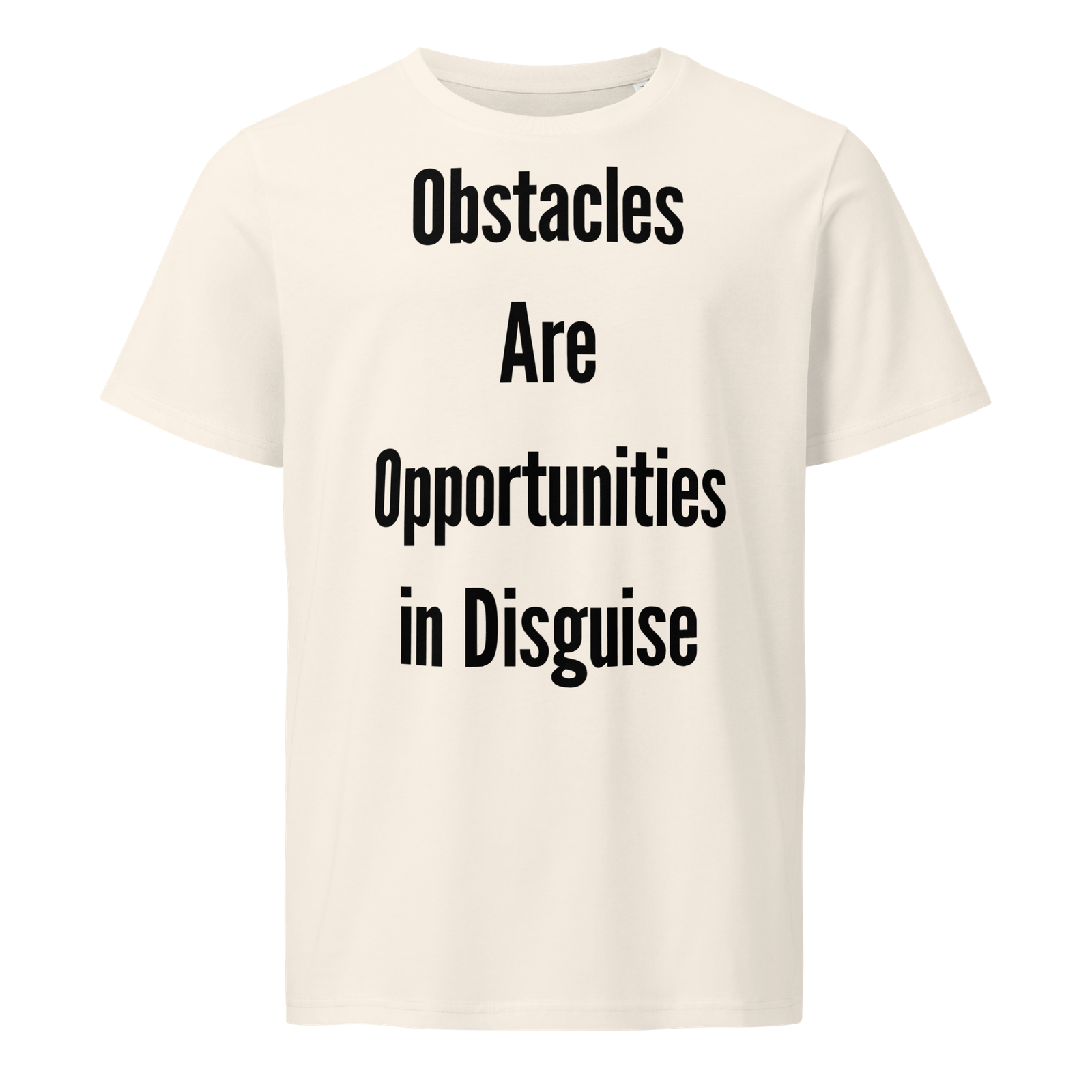 Obstacles Are Opportunities In Disguise — Vintage White
