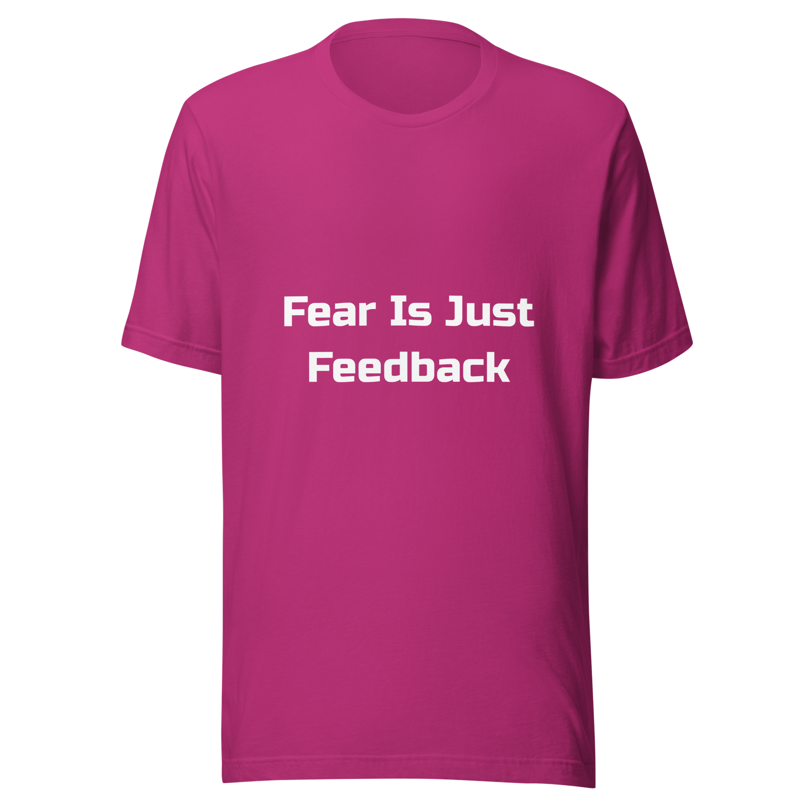 Fear Is Just Feedback — Berry